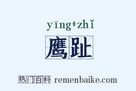 鹰趾是什么意思的图片